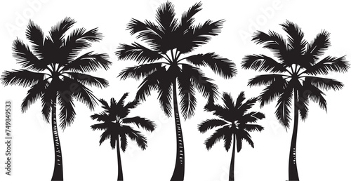 Set of coconut palm trees silhouette