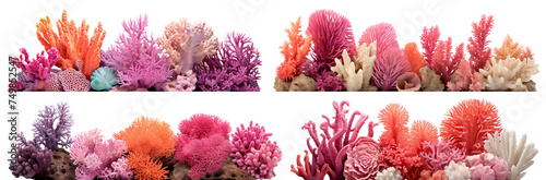 Set of coral reefs cut out © Yeti Studio