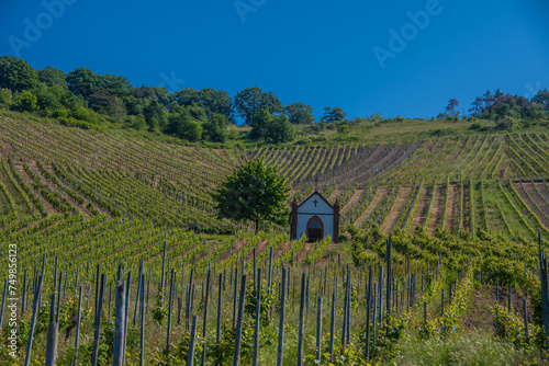 Vineyards near Zeltingen-Rachtig with a small chapel photo