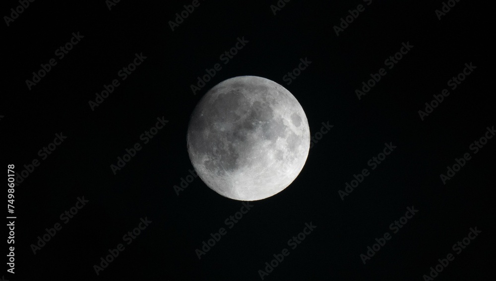 Fototapeta premium Moon