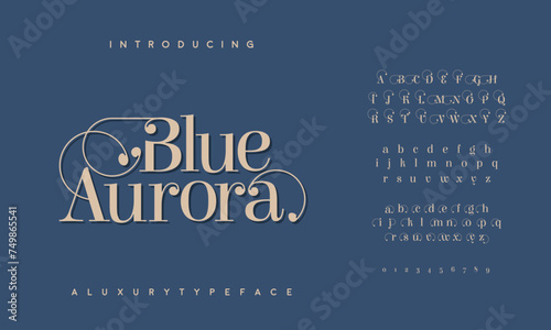 An elegant sans serif typeface with big alternate characters set, it’s perfect for logotypes, wedding invitations, short phrases, and many other uses.