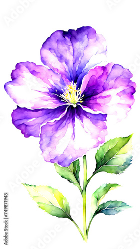 large watercolor purple flower on a transparent background