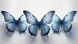 three blue butterflies isolated on a white background