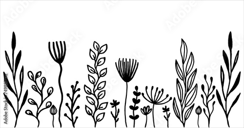 Hand Drawn Black And White Spring Flowers On White Background. Sketch. Doodle style