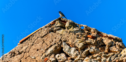 old stone house with a sparrow Atlantic coast Cabo Espichel Portugal