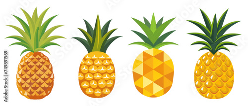 Pineapple, different versions, transparent vector illustration or white background, isolated