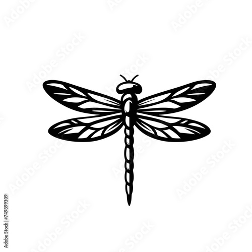Dragonfly 