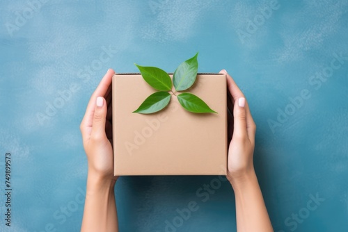 Hands holding an eco-friendly cardboard box adorned with green leaves. Eco Packaging Concept