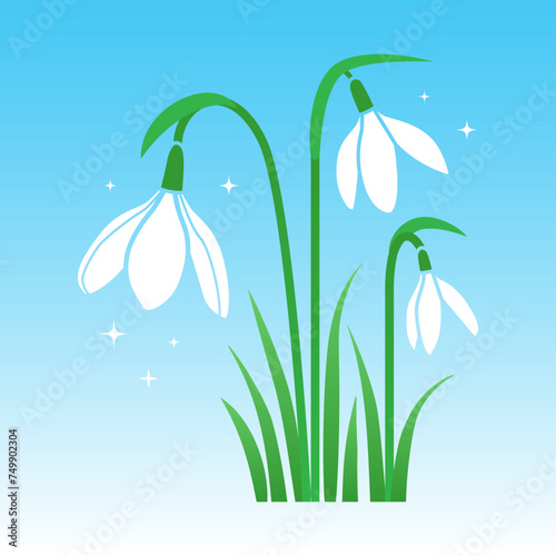 First spring flowers snowdrops on a blue shining background. Vector illustration