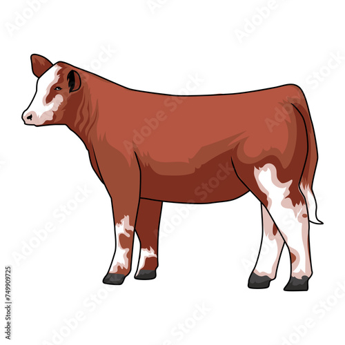 supreme cattle livestock beauty red vector