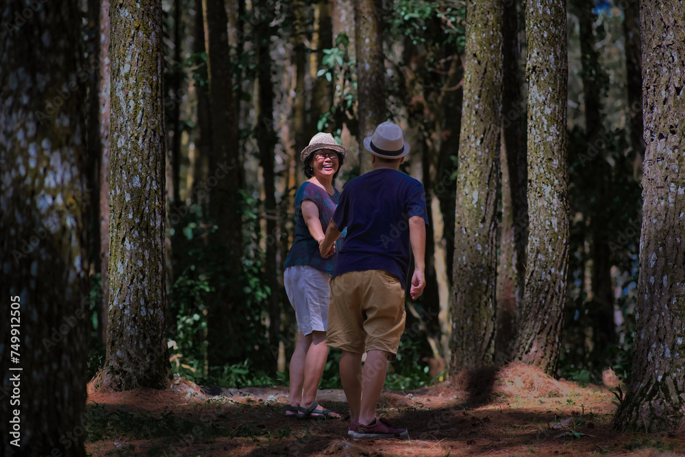 Man and woman walking together entering a shady pine woods Man and woman walking together entering a shady pine woods