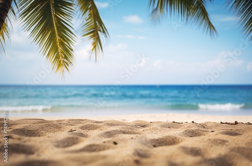 vacation background with beach sand ocean and palm trees. copy space