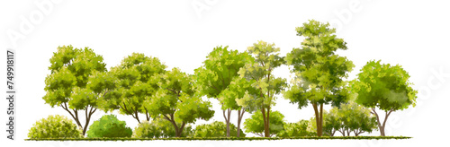 Vertor set of green tree plants side view for landscape elevations element for backdrop eco environment concept design watercolor greenery scene