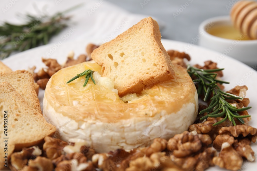Tasty baked camembert, croutons, walnuts and rosemary on table, closeup