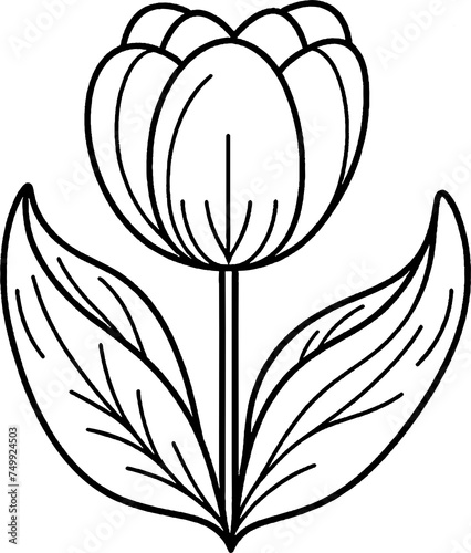 Fleur tulipe au trait a colorier, contenu pour livre de coloriage  photo