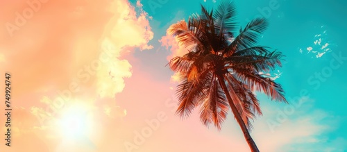 Beautiful silhouette of tropical beach with palm tree with sunset sky background. Generated AI image © is