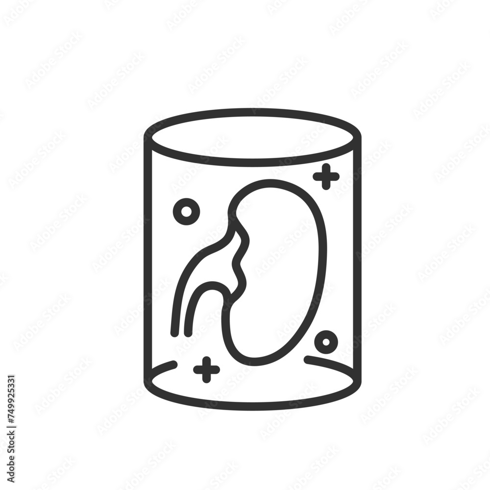 Artificial kidney, linear icon. Artificially grown organ for transplantation. Innovations and progress in medicine and transplantation, transplantology. Line with editable stroke Artificial kidney, linear icon. Artificially grown organ for transplantation. Innovations and progress in medicine and transplantation, transplantology. Line with editable stroke