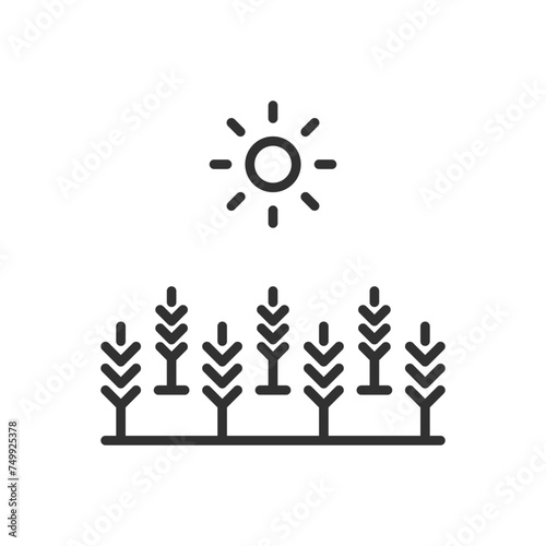 A wheat field and the sun, linear icon. Harvest. Line with editable stroke