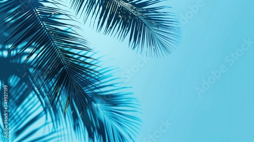 Summer concept. Palm tree shadow on a blue background. --ar 16 9 Job ID  4170c8c3-afae-46a2-90cc-a54df573c45f