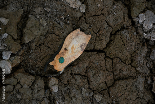 Texture of dry soil with shoe photo