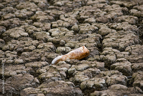 Empty bottle on dry soil