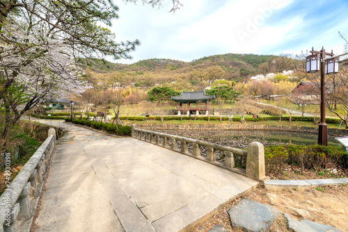 덕포루가 보이는 대전 우암사적공원의 전경