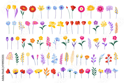 Schilderij op canvas Colourful floral set
