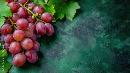 Dew-kissed fresh grapes with green leaves on a dark background