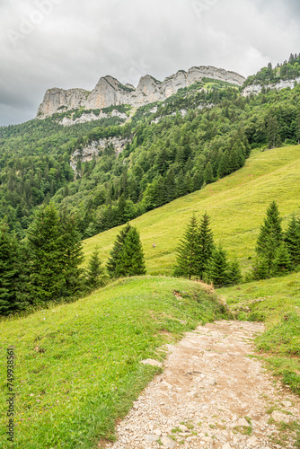 Hiking trail in the Appenzell mountains in Switzerland. Apine mountains in the background. Alpine trees on the slopes. Beautiful Alpine landschape in Switzerland. Cloudy summer day. photo