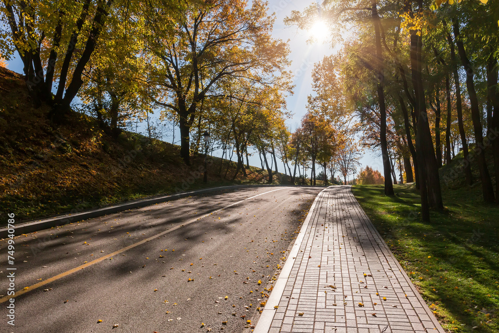 Hilly section of local asphalt road in autumn forest backlit
