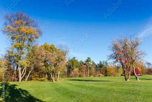 Large glade with trimmed grass in autumn park against forest