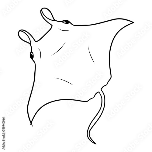 manta ray illustration hand drawn outline isolated vector