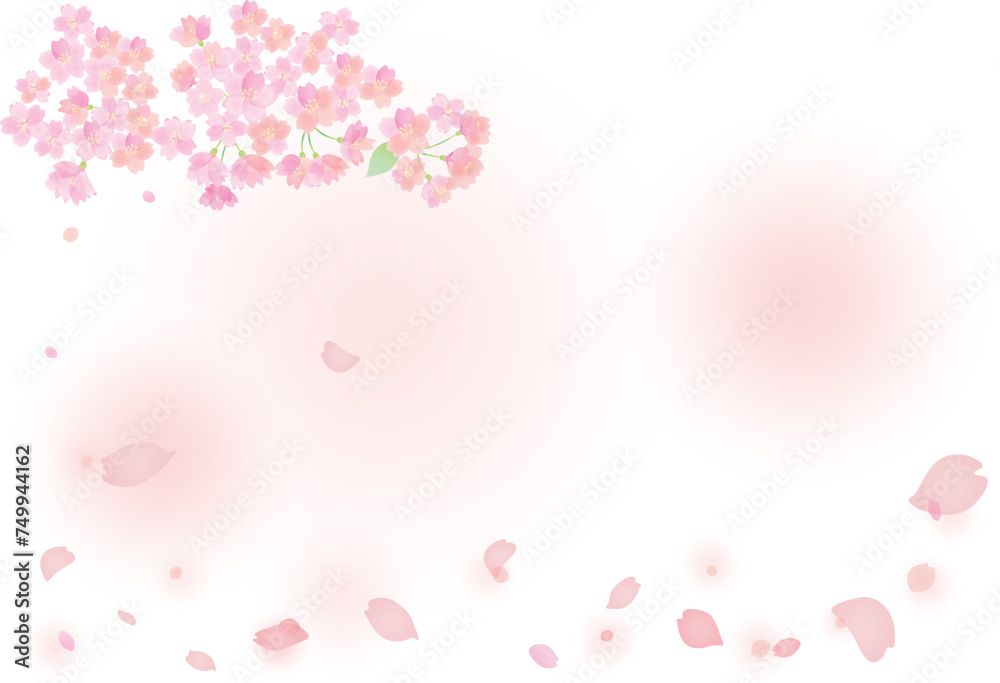ふんわりした花びら舞い散る桜の背景イラスト　