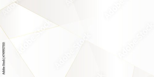 White geometric overlay golden line layer background on bright space with geometric decoration concept. Minimal futuristic element concept for poster, brochure, banner, wallpaper, cover, flyer.