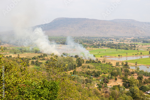 A bird's-eye view of rice fields with smoke rising from farmers' burning straw.