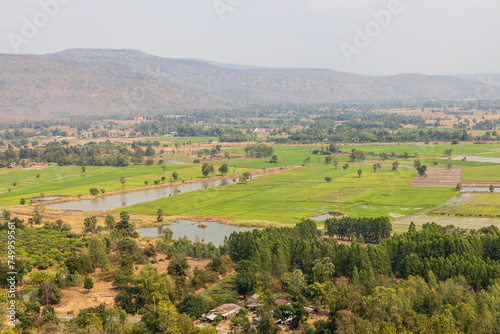 A bird's-eye view of farmland, green rice fields, wide expanses. © kaentian
