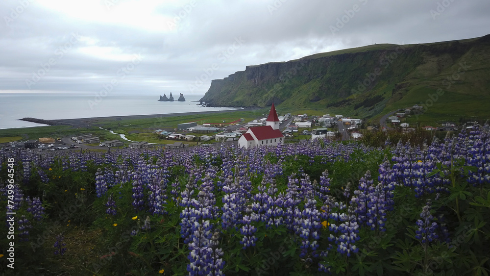 Víkurfjara black sand beach, Reynisfjall peak, Holtasoley flowers field, Vikurkirkja Church and sea stacks at Vik i Myrdal in Iceland.