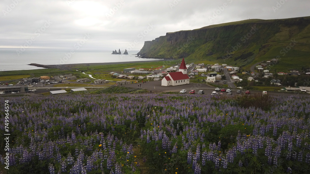 Víkurfjara black sand beach, Reynisfjall peak, Holtasoley flowers field, Vikurkirkja Church and sea stacks at Vik i Myrdal in Iceland.
