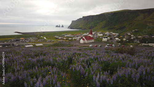 Obraz na płótnie Víkurfjara black sand beach, Reynisfjall peak, Holtasoley flowers field, Vikurkirkja Church and sea stacks at Vik i Myrdal in Iceland. w salonie