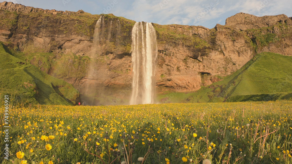 The Seljalandsfoss waterfall on the south coast of Iceland bathed in the otherworldly light of the midnight sun. The waterfall drops 60 meters and is part of the Seljalands River.
