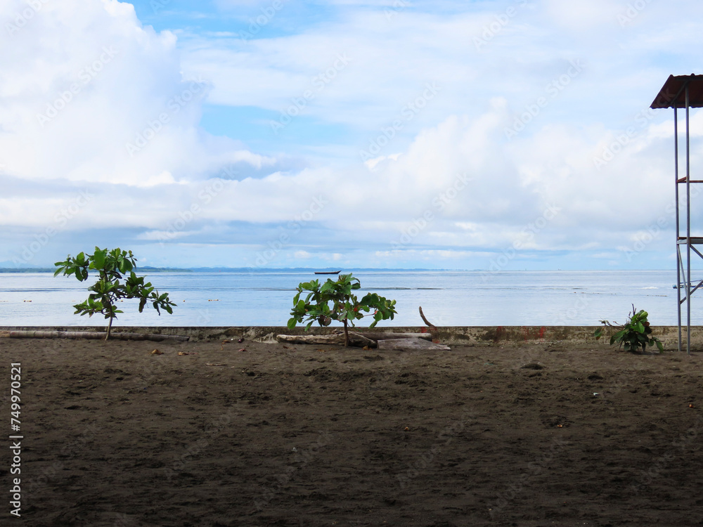 landscape on the Pacific beach with trees, sand, sea adorned with blue sky and white clouds