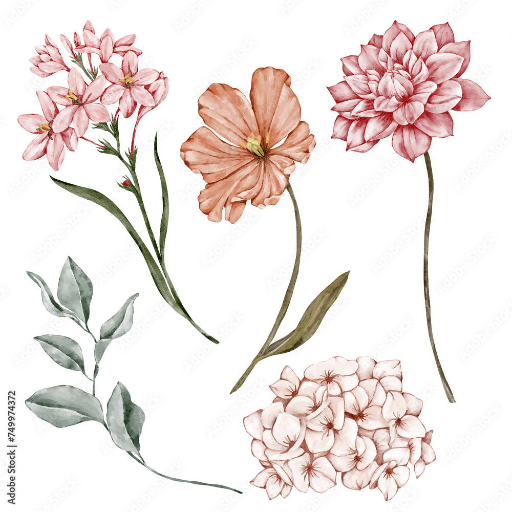Set of flowers and leaves Set of flowers and leaves
