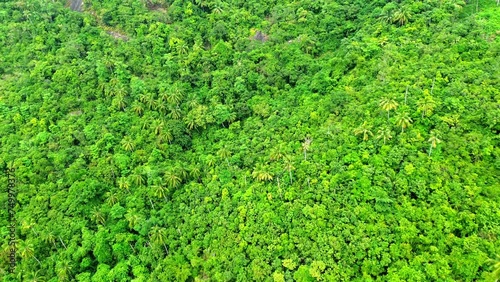 Rainforest on Koh Samui island in Thailand, video from a drone