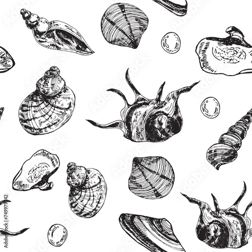 A seamless pattern featuring a variety of detailed shell illustrations in black and white, suitable for backgrounds, textiles, or wrapping paper.