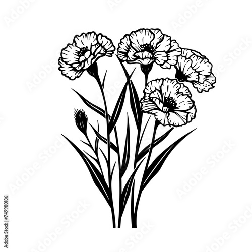 Vector isolated simple carnation bouquet boutonniere ywo carnations with twig colorless black and white contour line easy drawing
