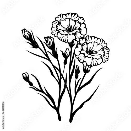 Vector isolated simple carnation bouquet boutonniere ywo carnations with twig colorless black and white contour line easy drawing
