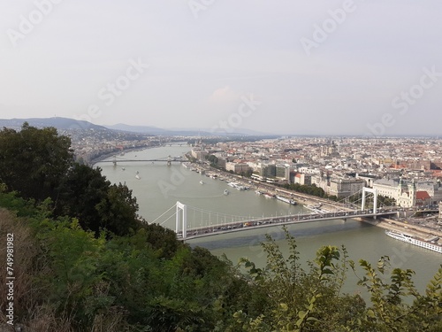 The Danube at Budapest