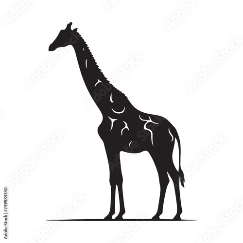 Graceful Giants: Vector Giraffe Silhouette - Capturing the Elegance and Majesty of Africa's Tallest Land Mammal. Minimalist Giraffe Vector, Giraffe Illustrtion.