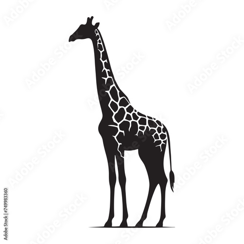 Graceful Giants: Vector Giraffe Silhouette - Capturing the Elegance and Majesty of Africa's Tallest Land Mammal. Minimalist Giraffe Vector, Giraffe Illustrtion.