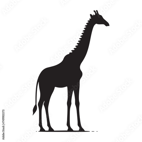 Graceful Giants: Vector Giraffe Silhouette - Capturing the Elegance and Majesty of Africa's Tallest Land Mammal. Minimalist Giraffe Vector, Giraffe Illustrtion.